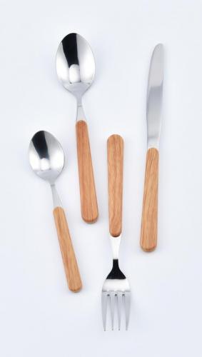 ABS handle cutlery set  (1)