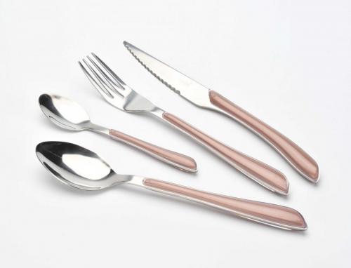 ABS handle cutlery set  (17)